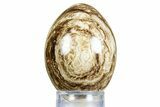 Swirling Polished Chocolate Calcite Egg - Pakistan #350181-1